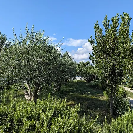 Apartamento Ferienwohnung Jelka