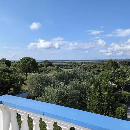 Ferienwohnung Jelka Apartamento Vrsi